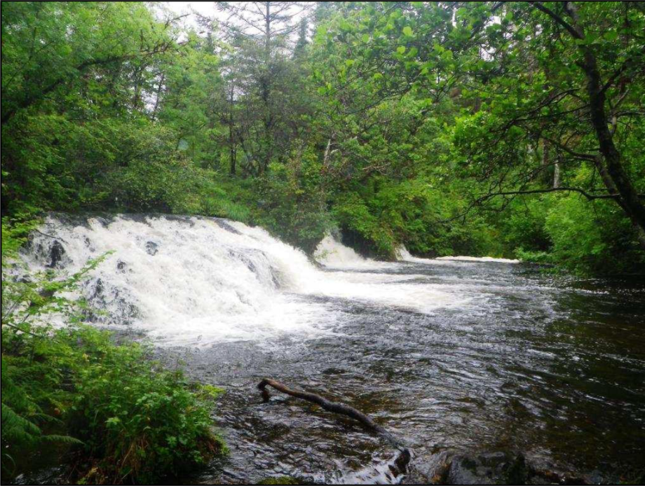 River Avich Ecology Study